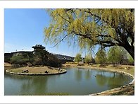 [봄 소풍]**온라인예매/필..