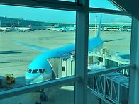 혼자만 가서 죄송합니다