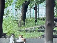 25.06.21. 소담배우님 인..