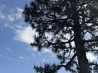 25.06.23. 소담배우님 인..
