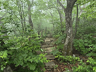 고성 마산봉,암봉,새이령(..