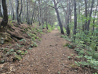 경산 마정산,반룡산,발백산