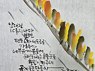 체본