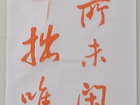 체본