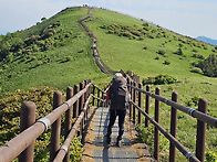 천상의 화원