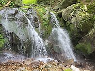 지리산 심마니터