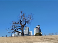 20220306 올림픽 공원 -..