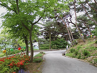 수덕사 건성암 25-05-0..