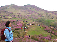 황매산~7