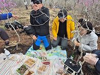 강화 고려산