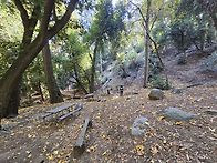 25년 11/1 Spruce Gr..