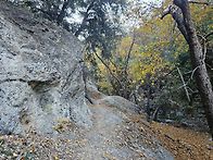 25년 10/25 Icehouse..