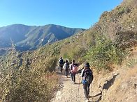 25년 10/11 Bear Can..