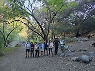 26년 3/28 Switzer P..