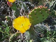 3월 7일 산행사진