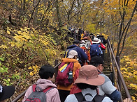 (10월) 설악산 흘림골~주..