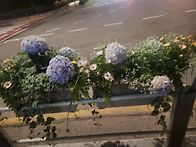 서울숲에 가다