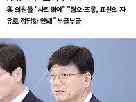 "김일성 만세 허용돼야" ..