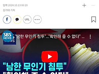 북 "남한 무인기 침투"…..