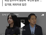 '김건희 로저비비에' 가방..