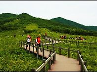 제267차 점봉산 곰배령(1,164m)정기산행