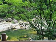 제269차 도명산 (650m) 천렵산행