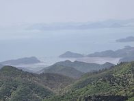 제254차 제암산(779m)~일림산(667m) ..