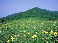 제267차 점봉산 곰배령(1,164m)정기산행