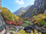 제248차 주왕산(720.6m)산행