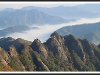 제270차 구봉산 (1,002m) 정기산행