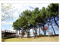 영종도 Sole Ma..