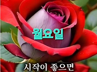 해피데이