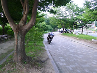 블랙은 광빨이죠.