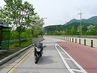지장산 이팝나무 가로수 ..
