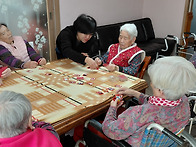 2026년2월26일(화투놀이)