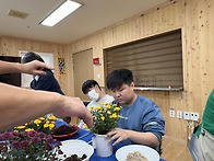 원예활동-국화심기