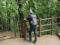 25,5.24 우면산 숲길 트레..