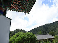 2026.8.23(일) 제110차..