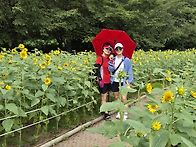 올림픽공원 트레킹8월 24..