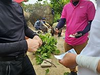 26.5.2.토요일 임상수 대..