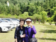 정자 정순