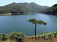 대청호500리길 부소담악