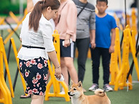 늦었지만 원주쇼 사진 올려..