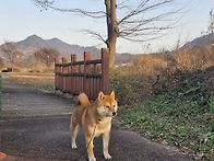외출