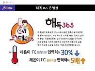 해독365 문의