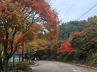 속리산산수유 릿지등반