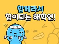 속상해요ㅠㅠ