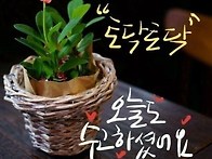 비가 와도 ^^