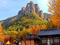 2026. 10. 22[목요일] ..