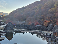 2026. 11. 12[목요일]제..